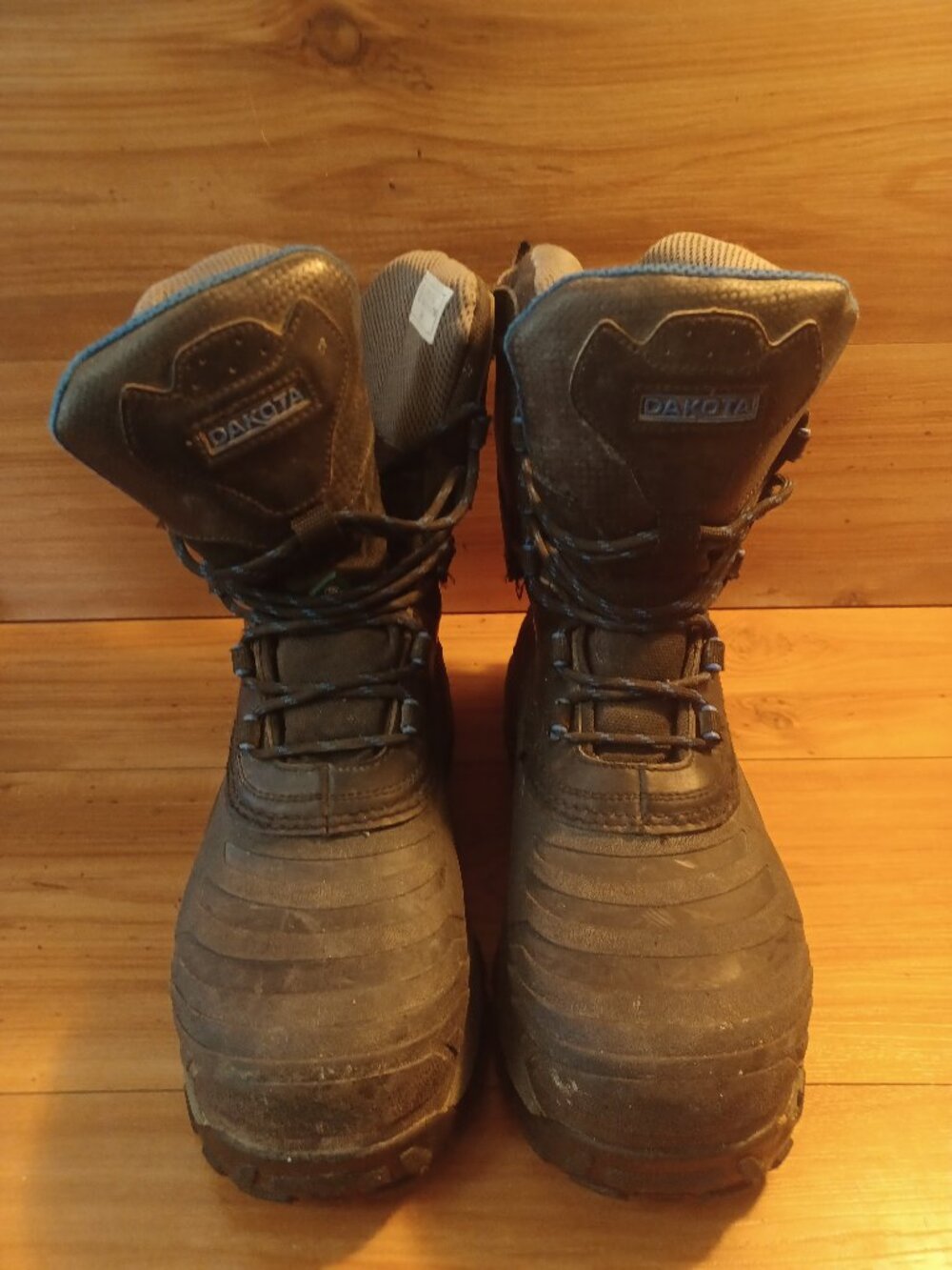 Dakota Men's Thermalectric Heated CTCP Winter Work Boots